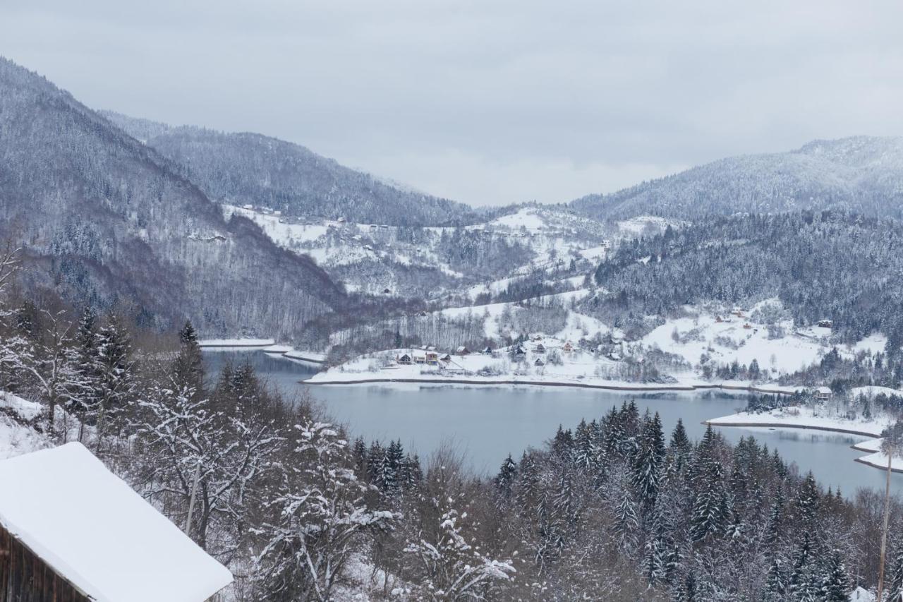 Konak Mandica Avlija Zaovine エクステリア 写真